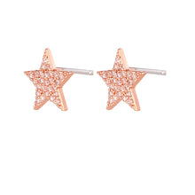 Carica l'immagine nel visualizzatore di Gallery, Mono Orecchino Symbol Stud Gold & Rose