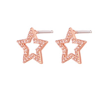 Carica l'immagine nel visualizzatore di Gallery, Mono Orecchino Symbol Stud Gold & Rose