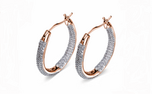 Carica l'immagine nel visualizzatore di Gallery, Coppia Orecchini Inside Out